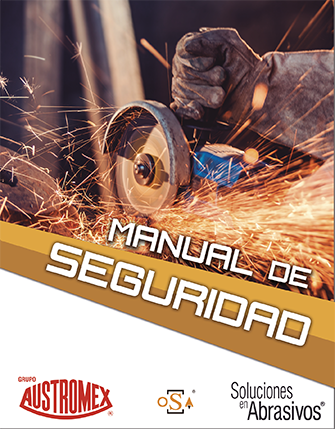 Manual de seguridad