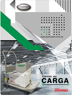 CARROS DE CARGA